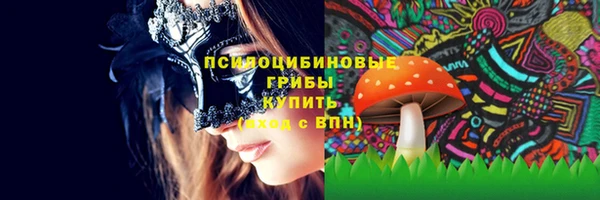 ПСИЛОЦИБИНОВЫЕ ГРИБЫ Белокуриха