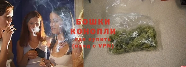 ПСИЛОЦИБИНОВЫЕ ГРИБЫ Белокуриха