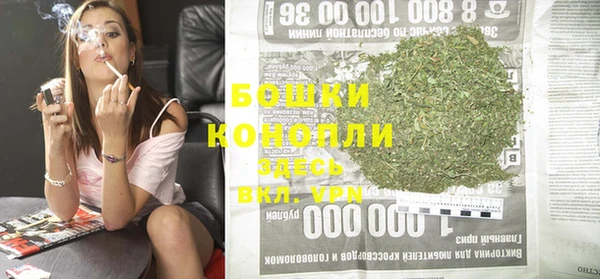 ПСИЛОЦИБИНОВЫЕ ГРИБЫ Белокуриха