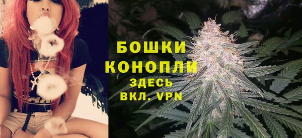 гидра Белоозёрский