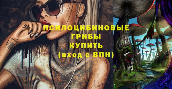 ПСИЛОЦИБИНОВЫЕ ГРИБЫ Белокуриха