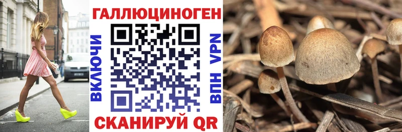 Псилоцибиновые грибы мухоморы Надым